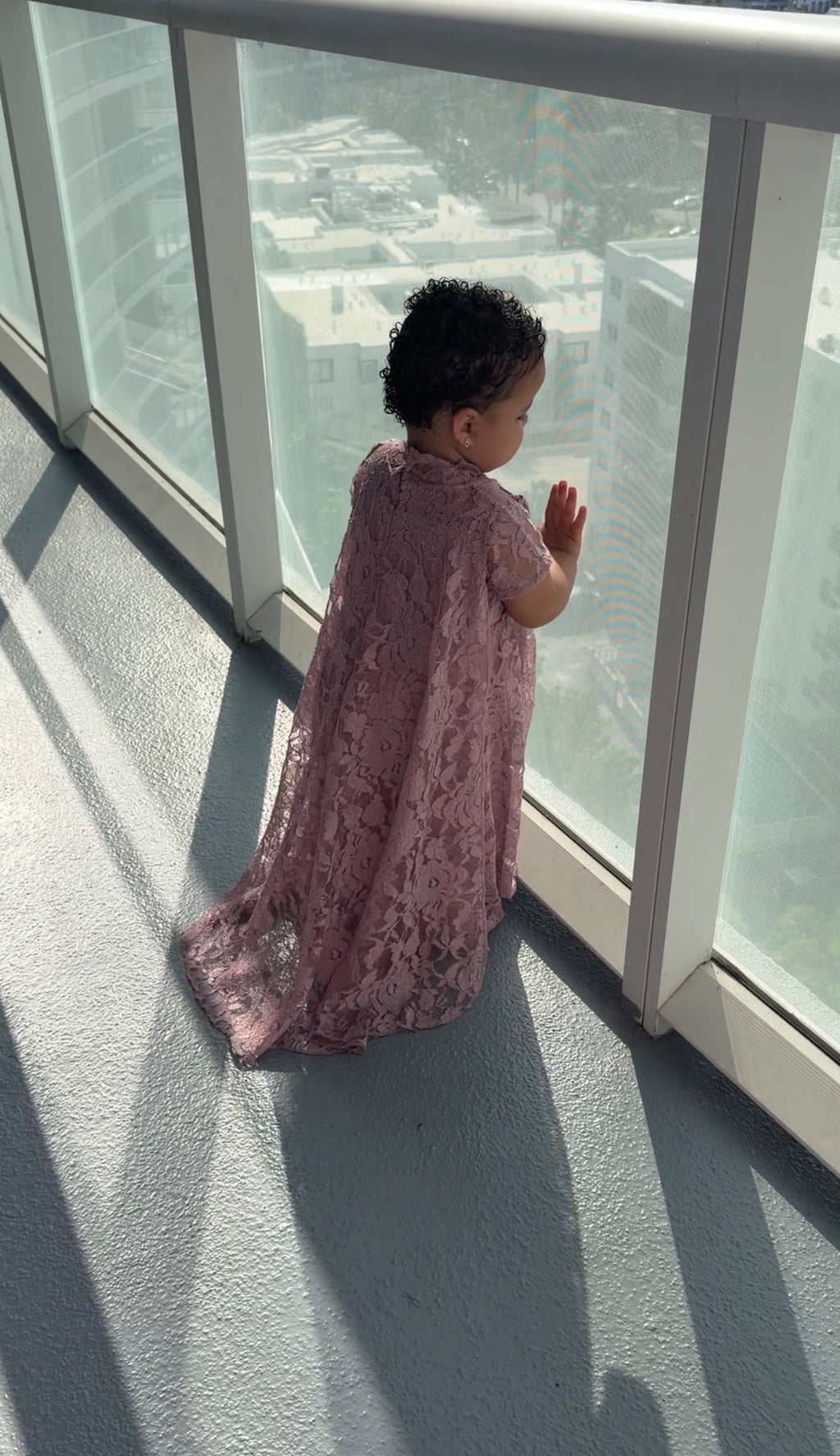 Royal Lace (Mini)