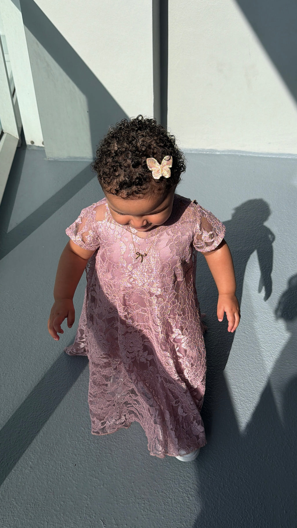 Royal Lace (Mini)